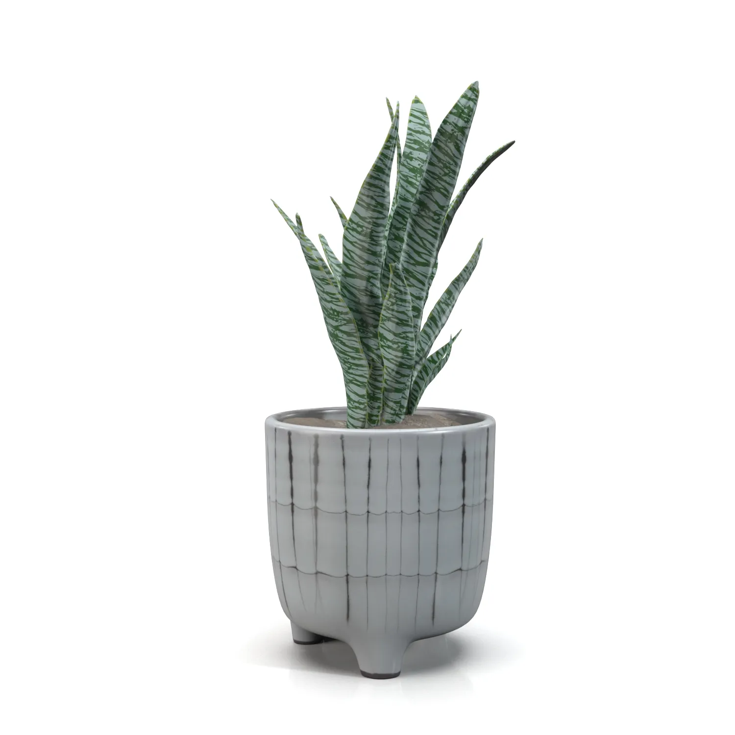 Terracotta Footed Planter with Artificial Plant PBR 3D Model_06